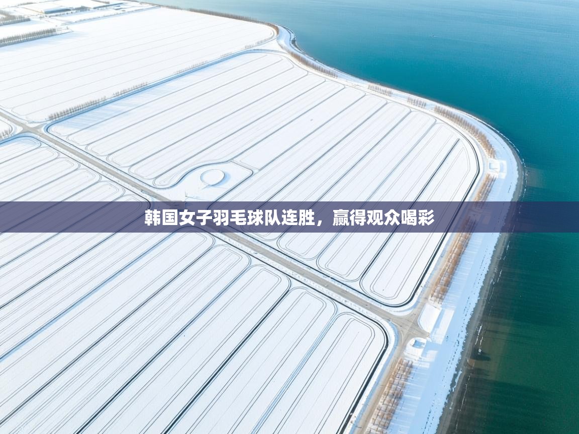 韩国女子羽毛球队连胜，赢得观众喝彩  第2张