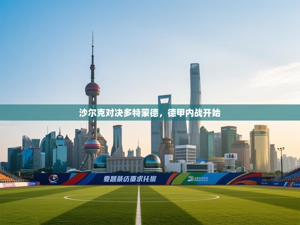 沙尔克对决多特蒙德，德甲内战开始  第2张