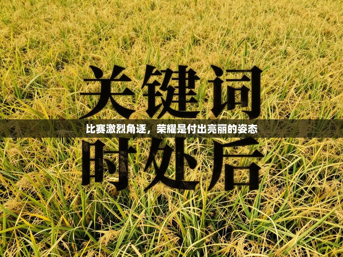 比赛激烈角逐，荣耀是付出亮丽的姿态  第1张