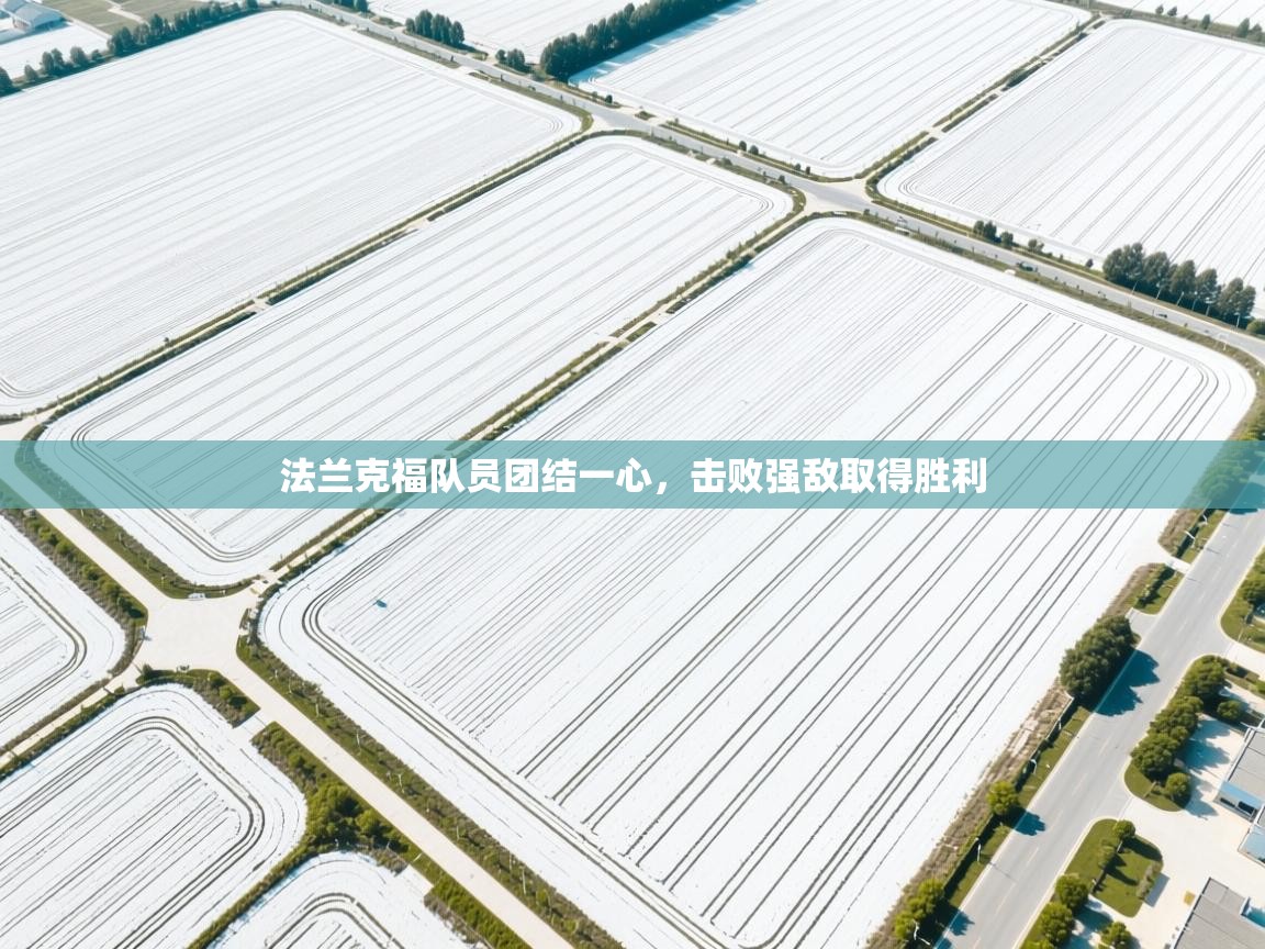 法兰克福队员团结一心，击败强敌取得胜利  第1张