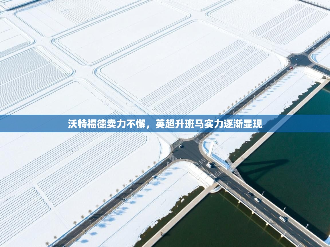 沃特福德卖力不懈，英超升班马实力逐渐显现  第2张